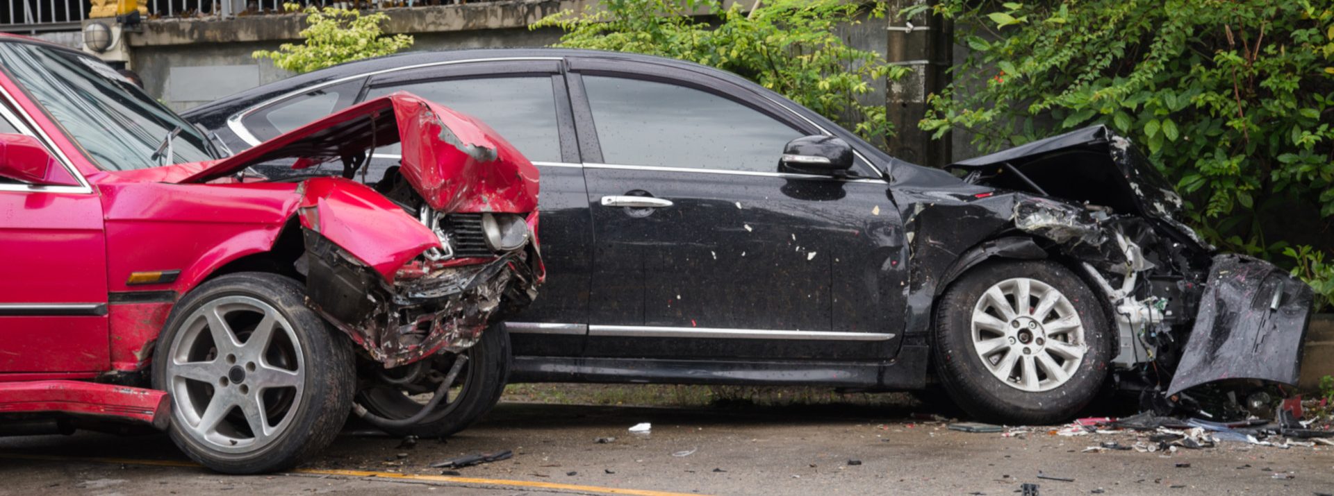 Board Certified Orthopedic Specialists